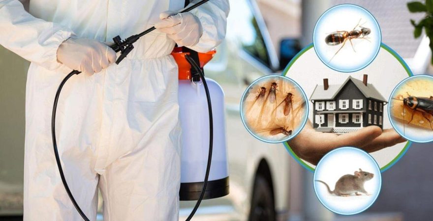 Ergani Böcek İlaçlama