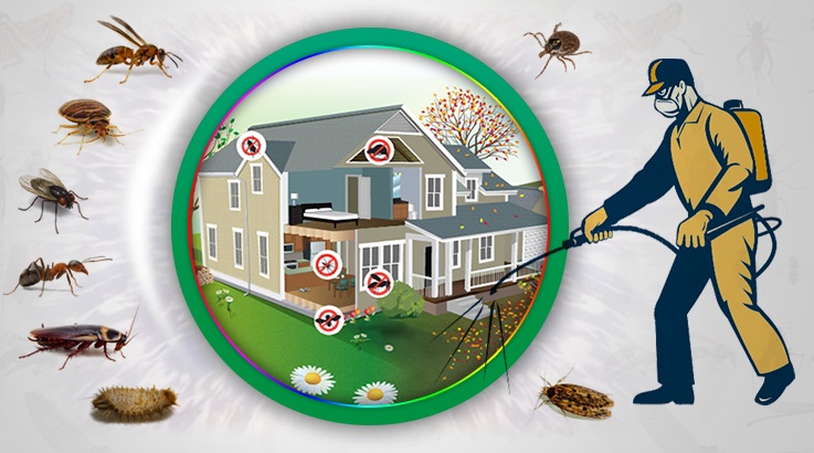 Ergani Böcek İlaçlama