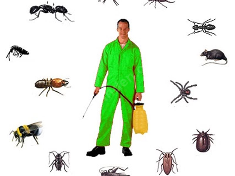 Ergani Böcek İlaçlama